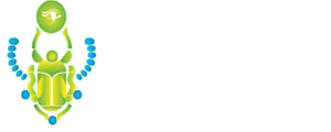 FUMIGACION DE CHINCHES EN CHIMALHUACAN